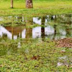 Stormwater Drain Solutions in Wollongong: Key Causes Explained