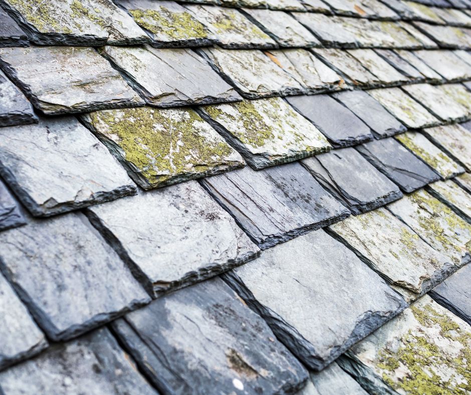 Slate Roof Repair: Essential Signs of Urgency to Recognise