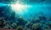 Great Blue Hole Diving Tips for Enthusiasts