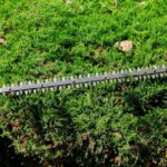 Hedge Trimming Tips for Gorgeous West Coker Gardens
