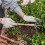 Weeding Services in Queen Camel: Top Providers and Tips