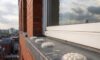 Bird Proofing Solutions: Spike-Free Gel Repellent Choices