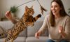 Bengal Cat Exercise Needs: Essential Tips for Wellbeing