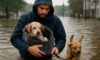 Pet Safety Measures for Effective Flood Evacuations