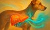 Liver Health Monitoring for Dogs: Essential Care Tips