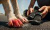 Pavement Safety Tips for Dogs: Crucial Summer Guidelines