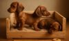 Puppy Comfort: Tips for a Snug Crate Environment